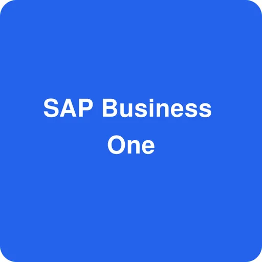 Aperçu de l’interface de SAP Business One